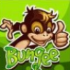 Mono del Bungee