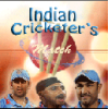 Indian Cricket Match