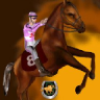 Derby 3D