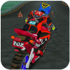 Carreras Callejeras 3D